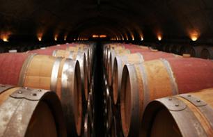 Excursion dans 2 caves à vin et à l'usine de cava "Freixenet"