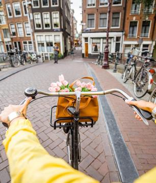 Visite guidée à vélo des incontournables d'Amsterdam (3h) - Audioguide en français