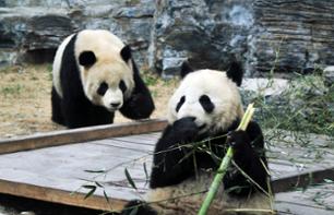 Visita privata dello Zoo di Pechino, del Palazzo d'Estate e degli Hutongs - andata/ ritorno hotel