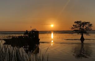 Everglades Sunset Hydrofoil Tour - Departing from Kissimmee (30 mins from Orlando)