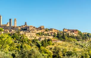 Escursione nei dintorni di Firenze: Siena, San Gimignano e degustazione di vini nella regione del Chianti