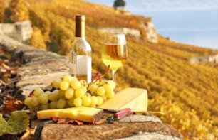 Excursão na região do Chianti e degustação de vinhos