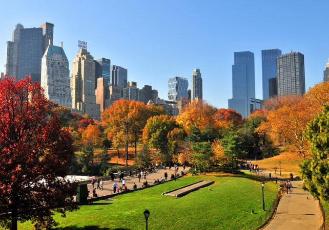 Rundfahrt Central Park Spaziergang Im Central Park