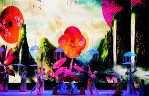 Spectacle d’acrobatie du théâtre Chaoyang à Pékin