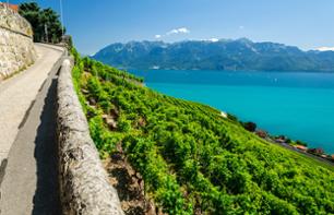 Sightseeing Cruise On Lake Geneva and Discover The Lavaux Vineyards – Departing From Lausanne