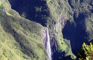 Randonnée dans la forêt primaire de Bélouve à La Réunion