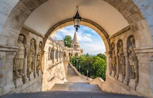 Guided walking tour of the Buda district (2hrs) - Budapest
