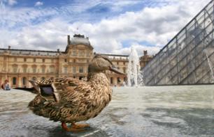 Visita del Museo del Louvre, pranzo alla Torre Eiffel e visita di Notre Dame - Biglietto saltafila