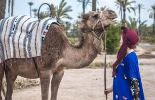 Promenade à dos de chameau dans la Palmeraie et dégustation de thé - Marrakech