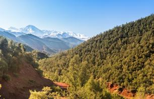 Excursion d’une journée dans la vallée de l'Ourika – Au départ de Marrakech
