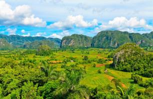 Day trip to the Viñales Valley with lunch included - Departs from Havana