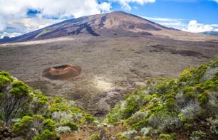 Visite d’une journée en 4x4 autour du volcan du Piton de la Fournaise à La Réunion – Transferts et déjeuner inclus