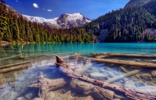 1-Day Photo Expedition in Banff National Park