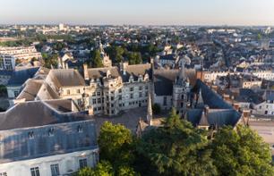 Billet coupe-file Château Royal de Blois