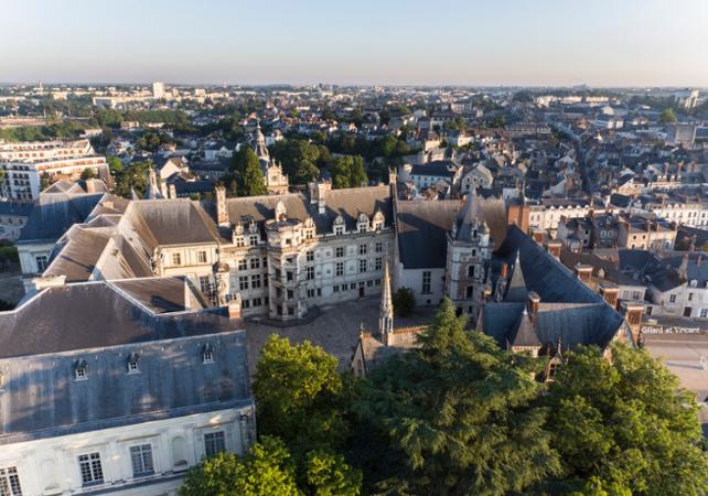 Billet coupe-file Château Royal de Blois