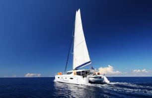 Croisière Premium de 3h en catamaran au large de La Réunion, au départ de Saint-Gilles-les-Bains - Cocktails et snacks inclus