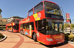 Johannesburg en bus