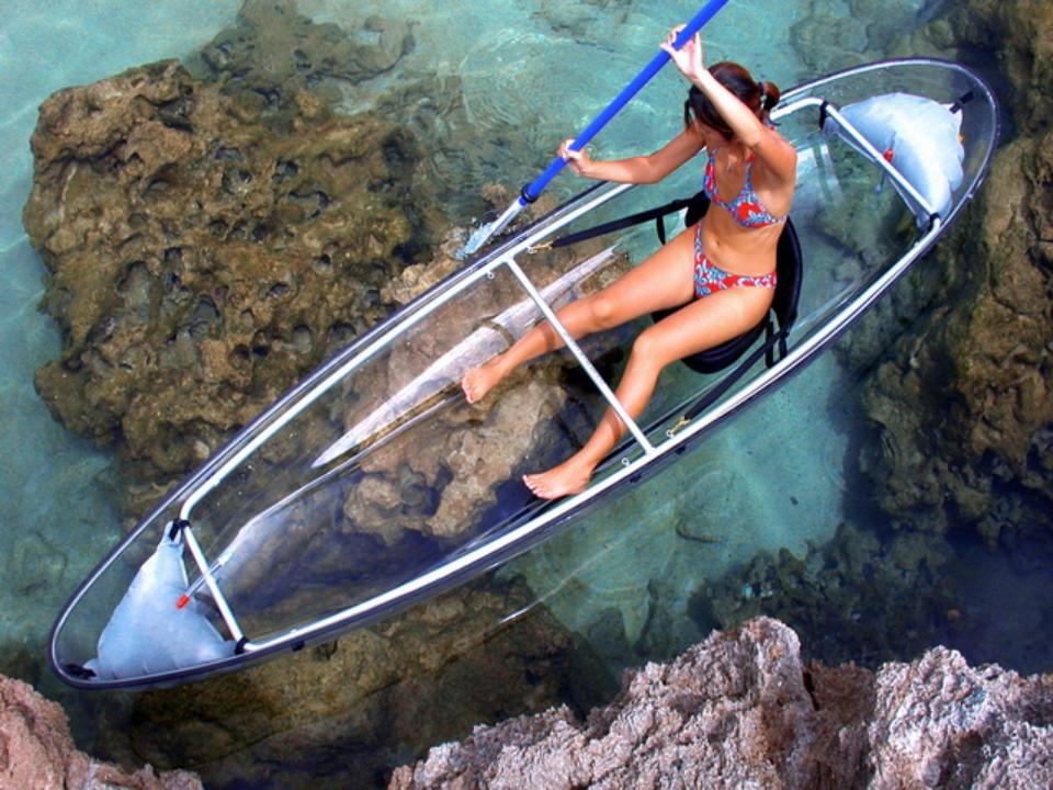 Crucero y paseo en kayak de fondo transparente por los manglares