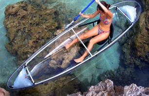 Bootstour und Fahrt in einem Kajak mit Glasboden durch die Mangroven