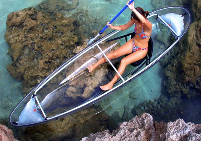 Croisière et balade en kayak à fond transparent dans les mangroves