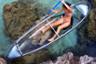 Explore the Mangroves: Cruise + Glass-bottomed kayaking session