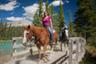 Horse Riding in the Bow River Valley – Departing from Banff