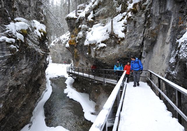 Randonnée dans un canyon gelé au cœur des Rocheuses canadiennes – Au départ de Banff