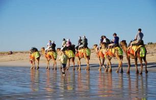 Balade en dromadaire ou à cheval dans le lagon de Djerba - Transfert hôtel inclus