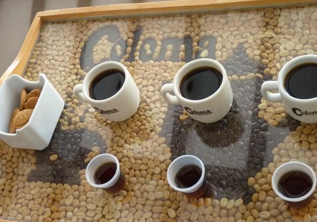 Visite guidée privée d'une plantation de café à Fusagasuga - En français - Au départ de Bogota