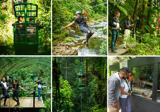 Aventure dans la forêt: téléphérique, tyroliennes, pont suspendu & balade dans la forêt - Transferts inclus depuis San José