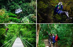 Aventure dans la forêt: téléphérique, tyroliennes, pont suspendu & balade dans la forêt - Transferts inclus depuis Monteverde