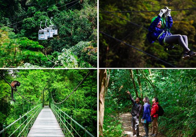 Aventure dans la forêt: téléphérique, tyroliennes, pont suspendu & balade dans la forêt - Transferts inclus depuis Monteverde