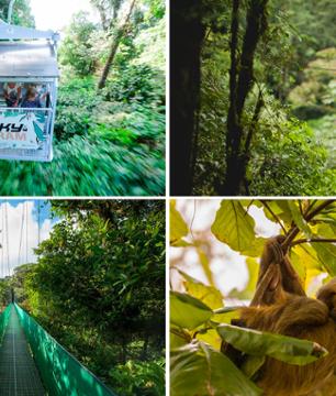 Aventure dans la forêt: téléphérique, tyroliennes, pont suspendu & balade dans la forêt - Transferts inclus depuis Arenal / La Fortuna