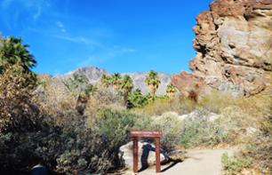 Jeep Tour and Hike to Indian Canyons – Leaving from Palm Springs