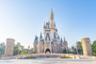 Billet Tokyo Disneyland 1 jour - transfert privé depuis votre hôtel inclus