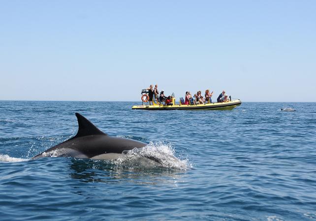 Croisière en zodiac sur la côte de l’Algarve avec observation de grottes et dauphins – Au départ d'Albufeira