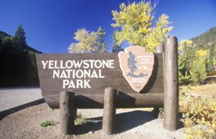 Day trip to the Yellowstone National Park - Leaving from Jackson