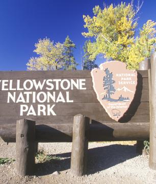 Excursion d’une journée au Yellowstone National Park - Au départ de Jackson