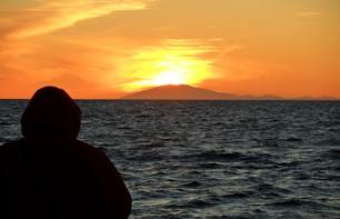 Whale Watching Cruise Under the Midnight Sun – Departing from Reykjavik