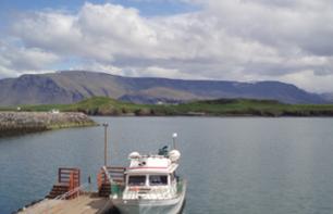 Transfert en Ferry de Reykjavik à l’île de Viðey – départ port Skarfabakki