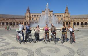 Guided Tour of Seville by Electric Bike