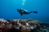 Sessions de plongée sous-marine pour plongeurs certifiés à Bora Bora: 1, 2, 6 ou 10 plongées - Transferts hôtel inclus