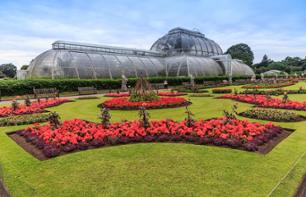 Visit of Kew Gardens and Kew Palace  - .United Kingdom