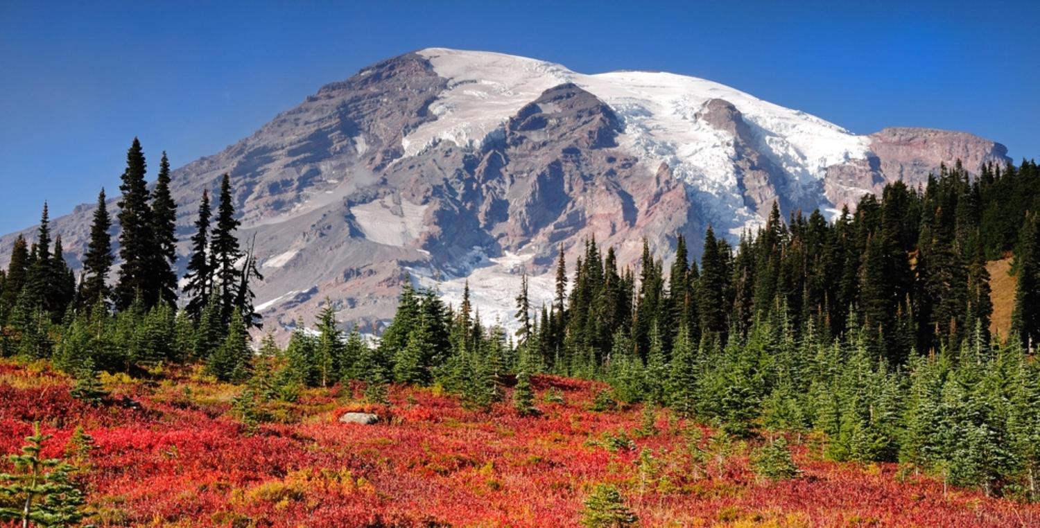 Day Retreat: Hiking on foot or by snowshoe on Mount Rainier 
