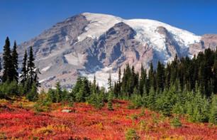 Day Retreat: Hiking on foot or by snowshoe on Mount Rainier