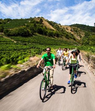 Tour à vélo et dégustation de vins dans la vallée de la Wachau - au départ de Vienne
