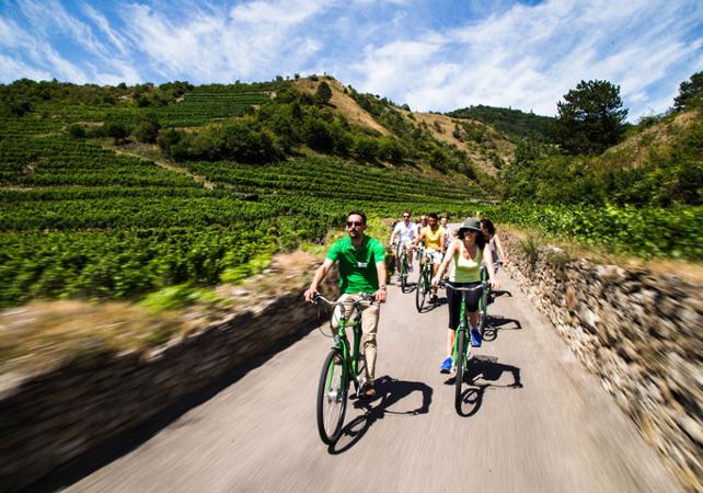 Bike Tour and Wine Tasting in the Wachau Valley - Departure from Vienna