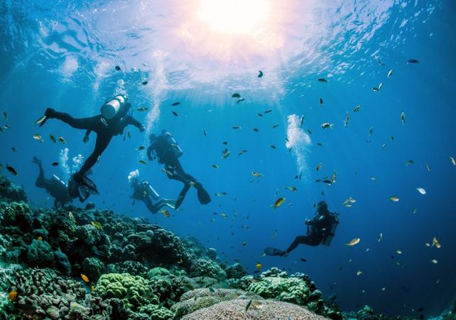 Forfait plongée en Mer Rouge: 1 jour / 2 plongées, ou 2 jours / 4 plongés - transferts inclus depuis Hurghada