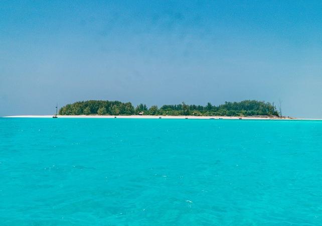 Activité snorkeling à la réserve naturelle de Mnemba - En français - Transferts hôtel inclus - Zanzibar