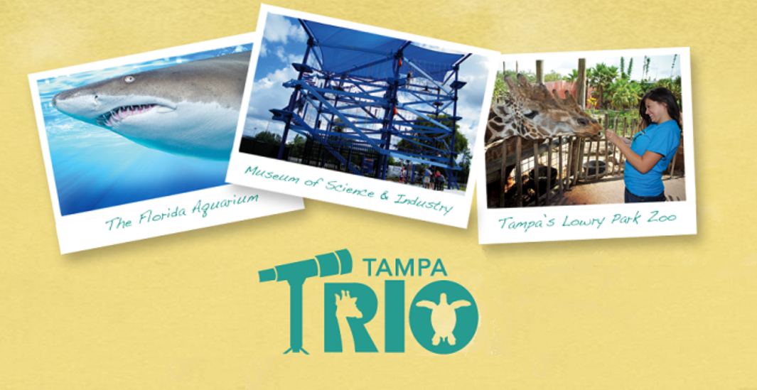 Tampa Pass : entrées à l’Aquarium, au Zoo et au MOSI – Billets coupe-file